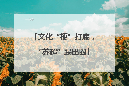 文化“梗”打底，“苏超”踢出圈