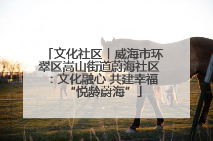 文化社区丨威海市环翠区嵩山街道蔚海社区：文化融心 共建幸福“悦龄蔚海”