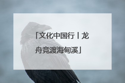 文化中国行丨龙舟竞渡海甸溪