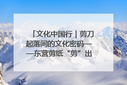 文化中国行｜剪刀起落间的文化密码——东营剪纸“剪”出非遗传承与现代生活的融合之道