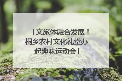 文旅体融合发展！桐乡农村文化礼堂办起趣味运动会