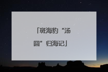 斑海豹“汤圆”归海记