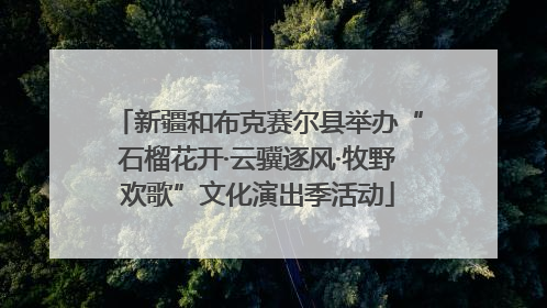 新疆和布克赛尔县举办“石榴花开·云骥逐风·牧野欢歌”文化演出季活动