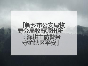 新乡市公安局牧野分局牧野派出所：深耕主防警务 守护辖区平安