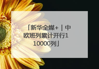 新华全媒+｜中欧班列累计开行110000列