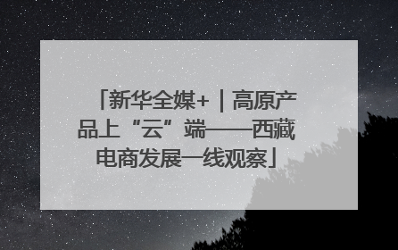 新华全媒+｜高原产品上“云”端——西藏电商发展一线观察