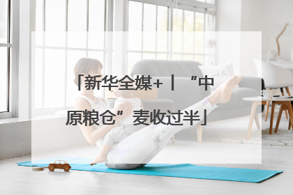 新华全媒+丨“中原粮仓”麦收过半