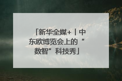 新华全媒+丨中东欧博览会上的“数智”科技秀