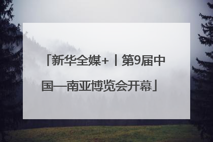 新华全媒+丨第9届中国—南亚博览会开幕