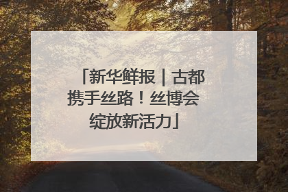 新华鲜报｜古都携手丝路！丝博会绽放新活力