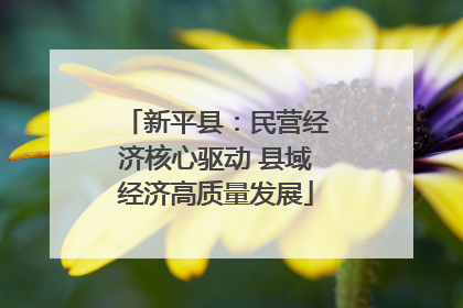 新平县：民营经济核心驱动 县域经济高质量发展