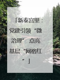 新泰宫里：党建引领“微治理” 点亮基层“网格红”