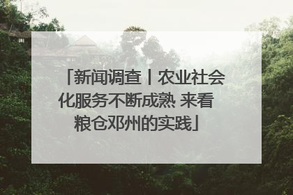 新闻调查丨农业社会化服务不断成熟 来看粮仓邓州的实践
