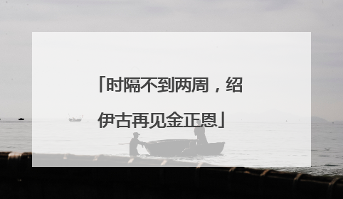 时隔不到两周，绍伊古再见金正恩
