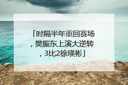 时隔半年重回赛场，樊振东上演大逆转，3比2徐瑛彬