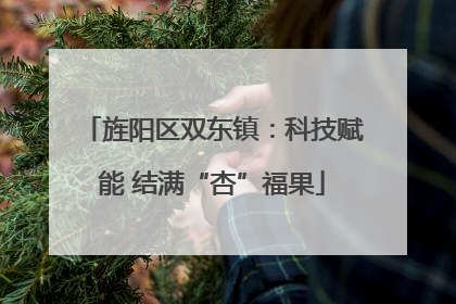 旌阳区双东镇：科技赋能 结满“杏”福果