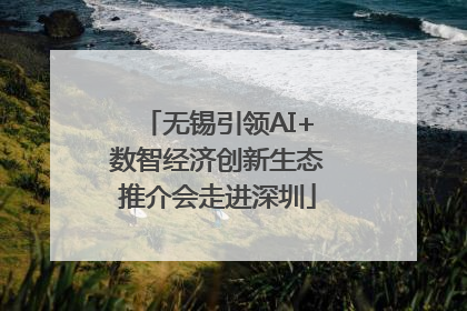 无锡引领AI+数智经济创新生态推介会走进深圳