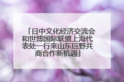 日中文化经济交流会和世博国际联盟上海代表处一行来山东巨野共商合作新机遇