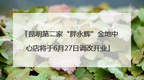 昆明第二家“胖永辉”金地中心店将于6月27日调改开业