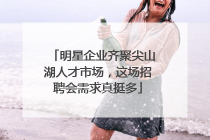 明星企业齐聚尖山湖人才市场，这场招聘会需求真挺多