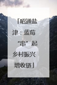 昭通盐津：蓝莓“串”起乡村振兴增收链
