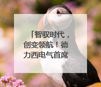 智驭时代，创变领航！德力西电气首席品牌官王策荣膺虎啸奖年度品牌人物