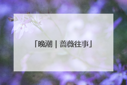 晚潮｜蔷薇往事