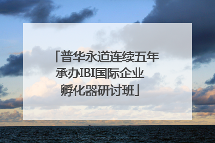 普华永道连续五年承办IBI国际企业孵化器研讨班