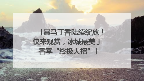暴马丁香陆续绽放！快来观赏，冰城最美丁香季“终极大招”