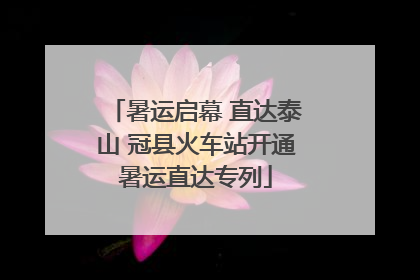 暑运启幕 直达泰山 冠县火车站开通暑运直达专列