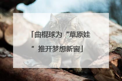 曲棍球为“草原娃”推开梦想新窗