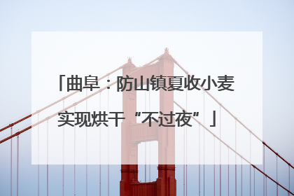 曲阜：防山镇夏收小麦实现烘干“不过夜”