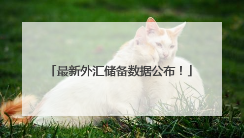 最新外汇储备数据公布！