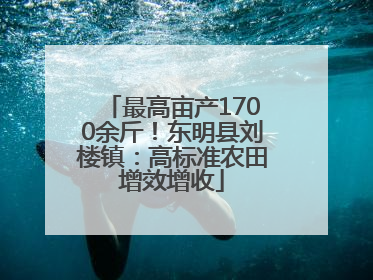 最高亩产1700余斤！东明县刘楼镇：高标准农田增效增收
