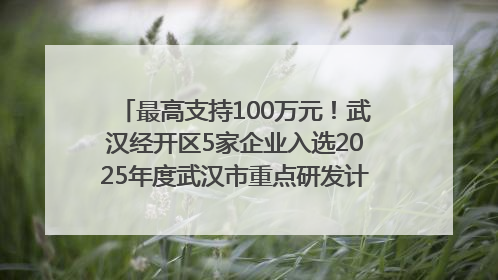 最高支持100万元！武汉经开区5家企业入选2025年度武汉市重点研发计划拟立项项目名单