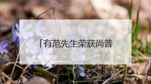 有范先生荣获尚普咨询集团权威证明