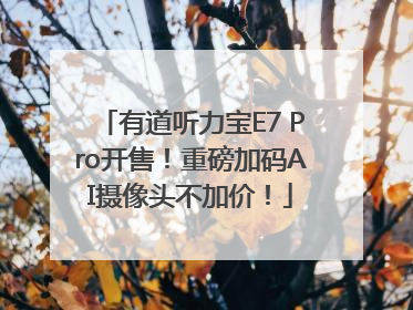 有道听力宝E7 Pro开售！重磅加码AI摄像头不加价！