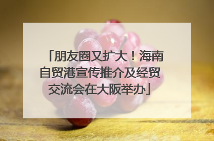 朋友圈又扩大！海南自贸港宣传推介及经贸交流会在大阪举办