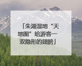 朱湖湿地“天地图”给游客一双隐形的翅膀