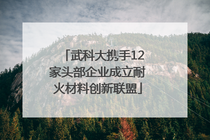 武科大携手12家头部企业成立耐火材料创新联盟