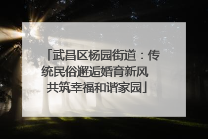 武昌区杨园街道：传统民俗邂逅婚育新风 共筑幸福和谐家园
