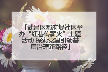 武昌区都府堤社区举办“红巷传薪火”主题活动 探索党建引领基层治理新路径