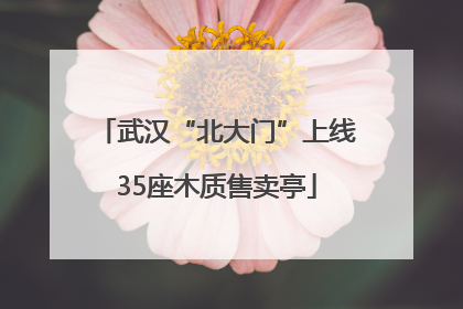 武汉“北大门”上线35座木质售卖亭