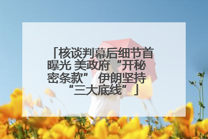 核谈判幕后细节首曝光 美政府“开秘密条款” 伊朗坚持“三大底线”