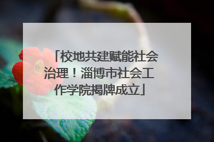 校地共建赋能社会治理！淄博市社会工作学院揭牌成立