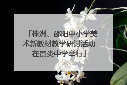 株洲、邵阳中小学美术新教材教学研讨活动在景炎中学举行
