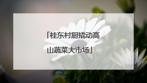 桂东村厨撬动高山蔬菜大市场