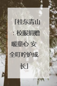 桂东青山：校服捐赠暖童心 安全叮咛护成长
