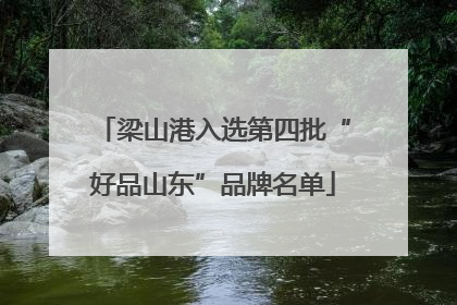 梁山港入选第四批“好品山东”品牌名单