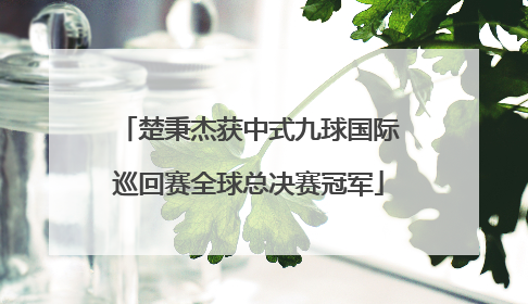 楚秉杰获中式九球国际巡回赛全球总决赛冠军